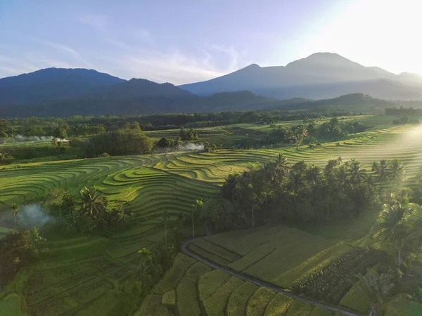 Letecký Pohled Krásné Ráno Pohled Indonésie Horách Lesích — Stock fotografie