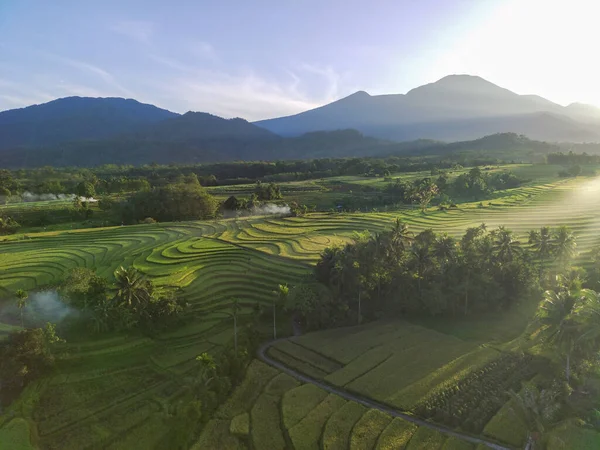 Antenn Utsikt Vacker Morgon Utsikt Från Indonesien Berg Och Skog — Stockfoto