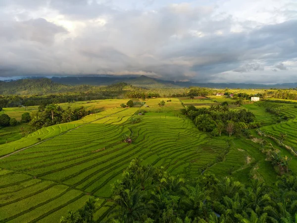 从印度尼西亚俯瞰高山和森林的美丽晨景 — 图库照片