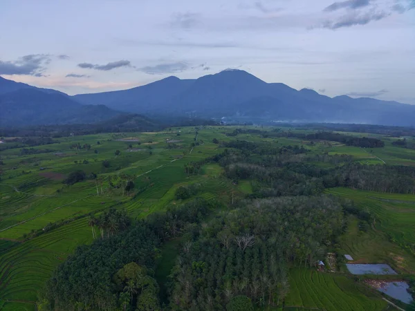 Vue Aérienne Belle Vue Matin Indonésie Sur Montagne Forêt — Photo