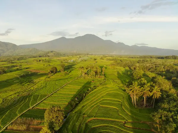 Aerial View Beautiful Morning View Indonesia Mountain Forest — Stock Photo, Image