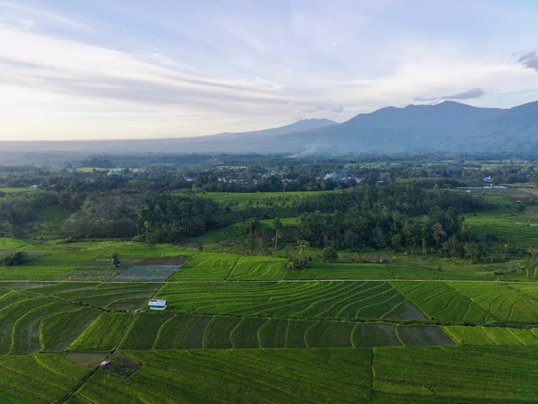 Vista Aérea Bela Vista Manhã Indonésia Sobre Montanha Floresta — Fotografia de Stock
