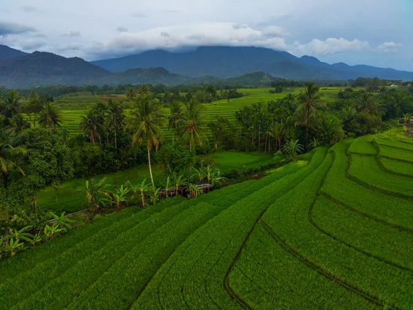 山と森についてのインドネシアからの美しい朝の景色 — ストック写真