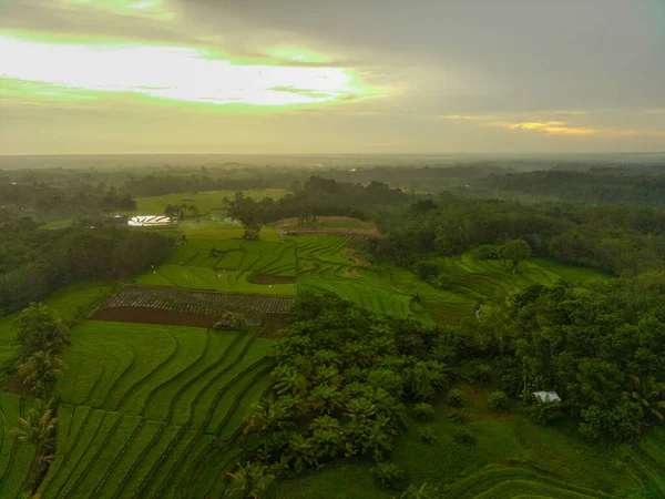 Antenn Utsikt Vacker Morgon Utsikt Från Indonesien Berg Och Skog — Stockfoto
