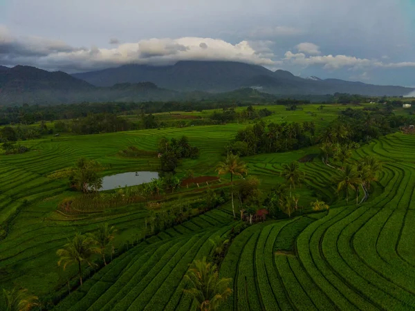 Luftaufnahme Schöner Morgenblick Aus Indonesien Über Berg Und Wald — Stockfoto