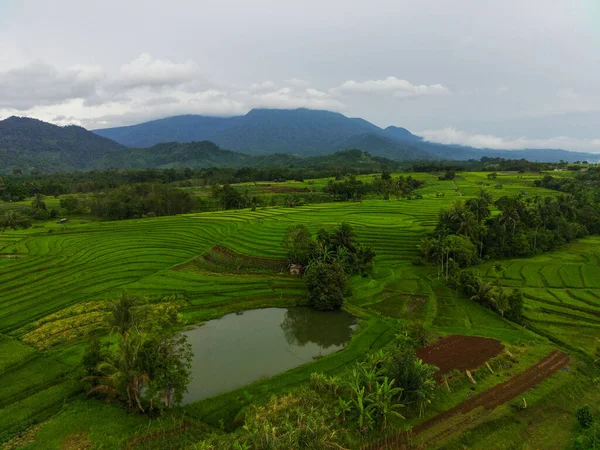 인도네시아의 아름다운 — 스톡 사진