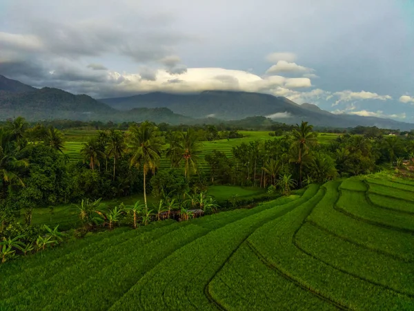 Antenn Utsikt Vacker Morgon Utsikt Från Indonesien Berg Och Skog — Stockfoto