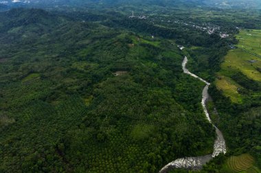 Beautiful morning view indonesia Panorama Landscape paddy fields with beauty color and sky natural light