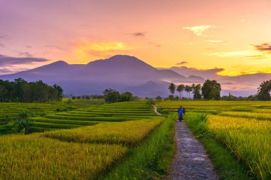 Endonezya 'dan orman ve dağ manzaralı güzel bir sabah manzarası