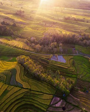 Endonezya 'dan orman ve dağ manzaralı güzel bir sabah manzarası