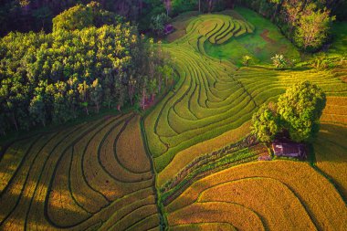 Endonezya 'dan orman ve dağ manzaralı güzel bir sabah manzarası