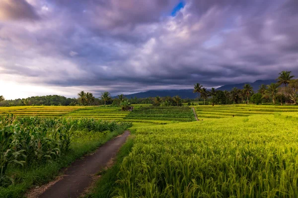Чудовий Ранковий Краєвид Індонезії — стокове фото