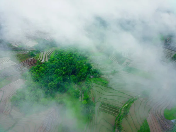 Вид Воздуха Прекрасный Вид Утром Индонезии Горы Лес — стоковое фото