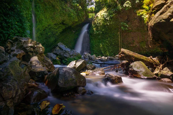 Beautiful morning view indonesia Panorama Landscape paddy fields with beauty color and sky natural light