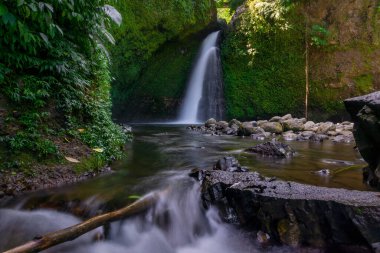 Beautiful morning view indonesia Panorama Landscape paddy fields with beauty color and sky natural light
