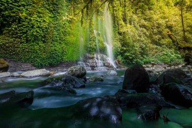 Beautiful morning view indonesia Panorama Landscape paddy fields with beauty color and sky natural light