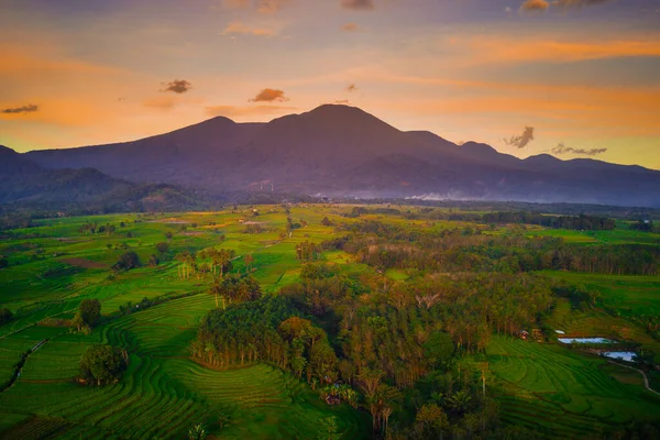 Beautiful morning view indonesia Panorama Landscape paddy fields with beauty color and sky natural light