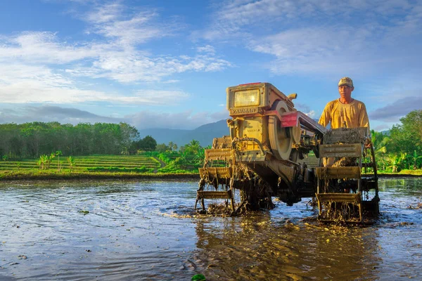 Beautiful Morning View Indonesia Panorama Landscape Paddy Fields Beauty Color — Foto de Stock