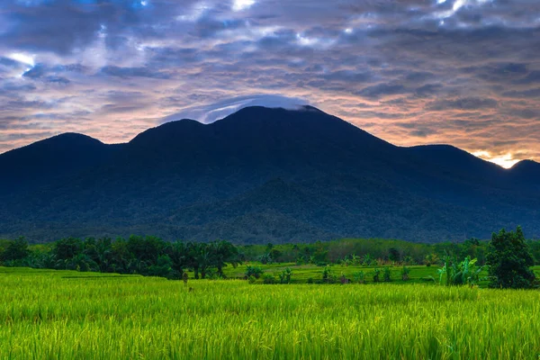 Όμορφη Θέα Πρωί Ινδονησία Πανόραμα Τοπίο Ορυζώνες Χρώμα Ομορφιά Και — Φωτογραφία Αρχείου