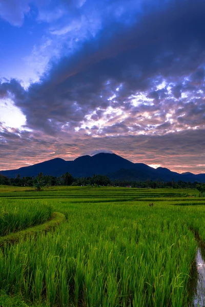 Όμορφη Θέα Πρωί Ινδονησία Πανόραμα Τοπίο Ορυζώνες Χρώμα Ομορφιά Και — Φωτογραφία Αρχείου