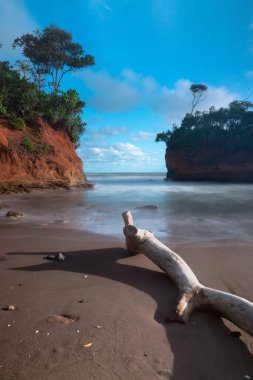 Beautiful morning view indonesia Panorama Landscape paddy fields with beauty color and sky natural light