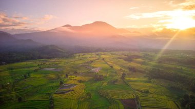 Beautiful morning view indonesia Panorama Landscape paddy fields with beauty color and sky natural light