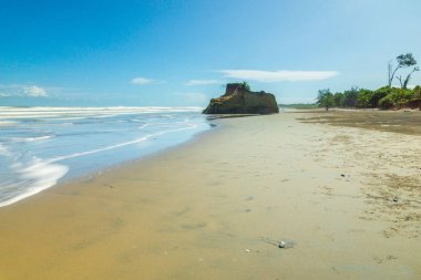 Beautiful morning view indonesia Panorama Landscape paddy fields with beauty color and sky natural light