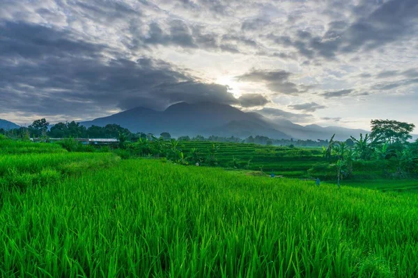 Vacker Morgon Utsikt Indonesien Panorama Landskap Paddy Fält Med Skönhet — Stockfoto