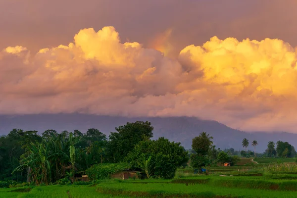 Vakker Utsikt Indonesia Panorama Landskap Rismarkene Med Vakre Farger Naturlig – stockfoto
