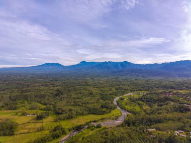 Beautiful morning view indonesia Panorama Landscape paddy fields with beauty color and sky natural light