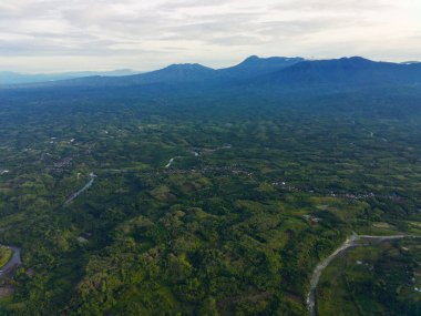 Beautiful morning view indonesia Panorama Landscape paddy fields with beauty color and sky natural light