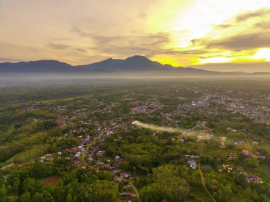 Beautiful morning view indonesia Panorama Landscape paddy fields with beauty color and sky natural light