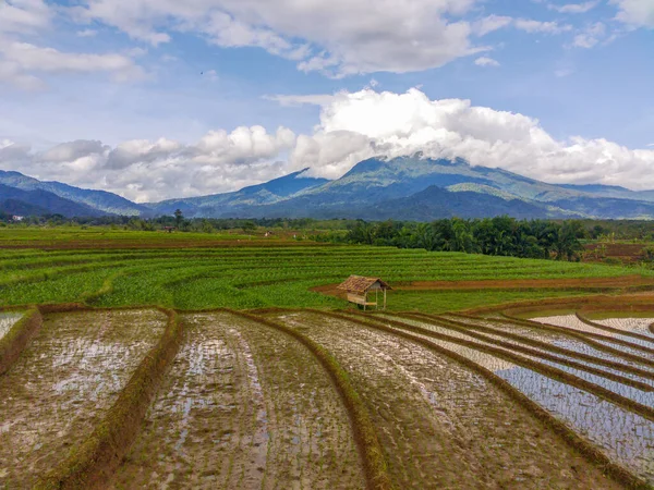 Beautiful morning view indonesia Panorama Landscape paddy fields with beauty color and sky natural light