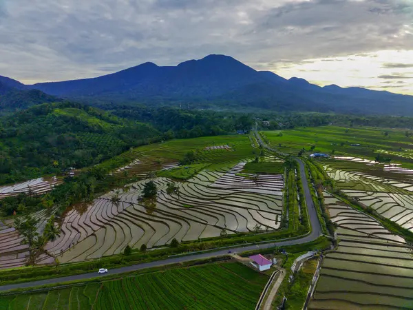 Beautiful morning view indonesia Panorama Landscape paddy fields with beauty color and sky natural light