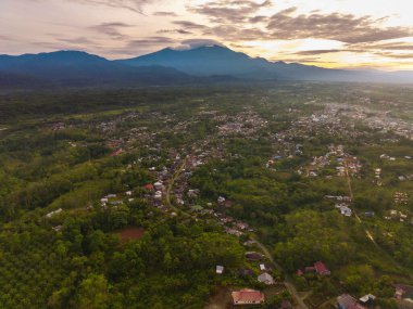 Beautiful morning view indonesia Panorama Landscape paddy fields with beauty color and sky natural light