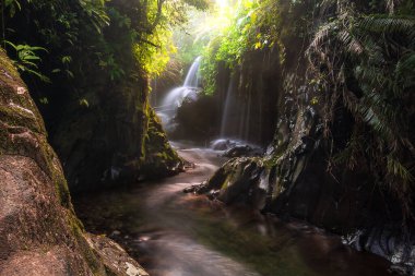 Endonezya 'nın güzel sabah manzarası Dağlar ve tropikal ormanlar