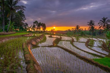 Endonezya 'nın güzel sabah manzarası Dağlar ve tropikal ormanlar