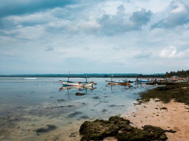 Endonezya 'nın güzel sabah manzarası Dağlar ve tropikal ormanlar
