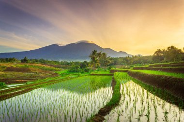 Endonezya 'nın güzel sabah manzarası Dağlar ve tropikal ormanlar