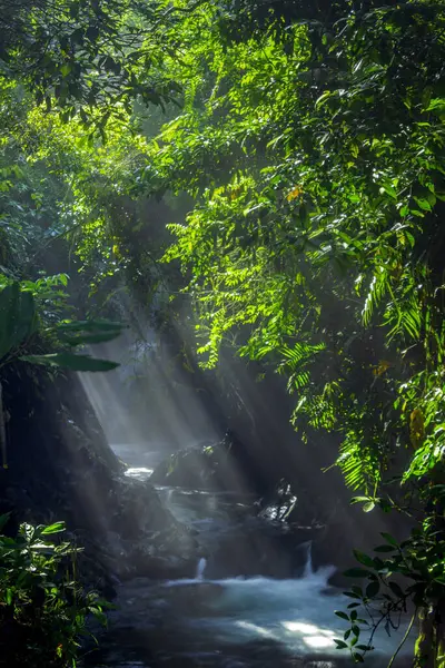 インドネシアの山と熱帯林から美しい朝の景色 ストック写真