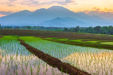 Endonezya 'nın güzel sabah manzarası Dağlar ve tropikal ormanlar