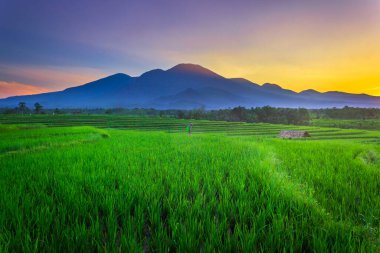 Endonezya 'nın güzel sabah manzarası Dağlar ve tropikal ormanlar