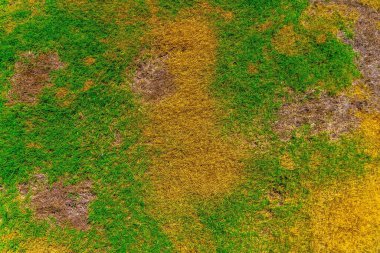 İş için renkli soyut Endonezya doğasına sahip arka plan