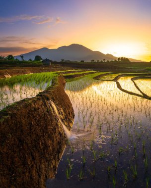 Endonezya 'nın güzel sabah manzarası Dağlar ve tropikal ormanlar