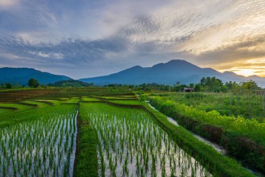 Endonezya 'nın güzel sabah manzarası Dağlar ve tropikal ormanlar