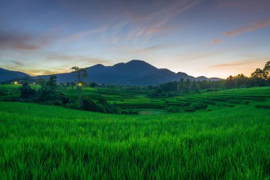 Endonezya 'nın güzel sabah manzarası Dağlar ve tropikal ormanlar