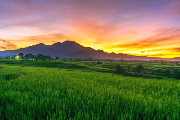 Endonezya 'nın güzel sabah manzarası Dağlar ve tropikal ormanlar