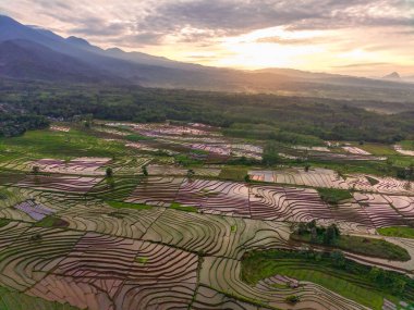 Endonezya 'nın güzel sabah manzarası Dağlar ve tropikal ormanlar