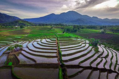 Endonezya 'nın güzel sabah manzarası Dağlar ve tropikal ormanlar