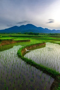 Endonezya 'nın güzel sabah manzarası Dağlar ve tropikal ormanlar